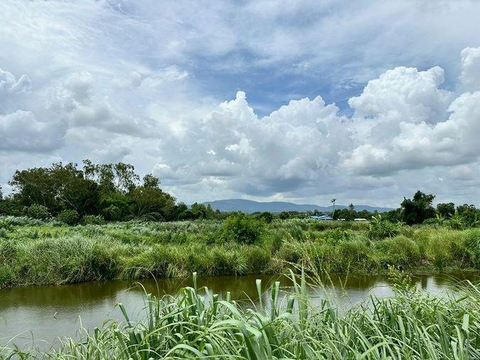 รูป ขายที่ดินเปล่าศรีราชา หนองขาม แปลงสวย ติดกับ ไร่คาราวาน (คอกม้า) - รูปที่ 2/19