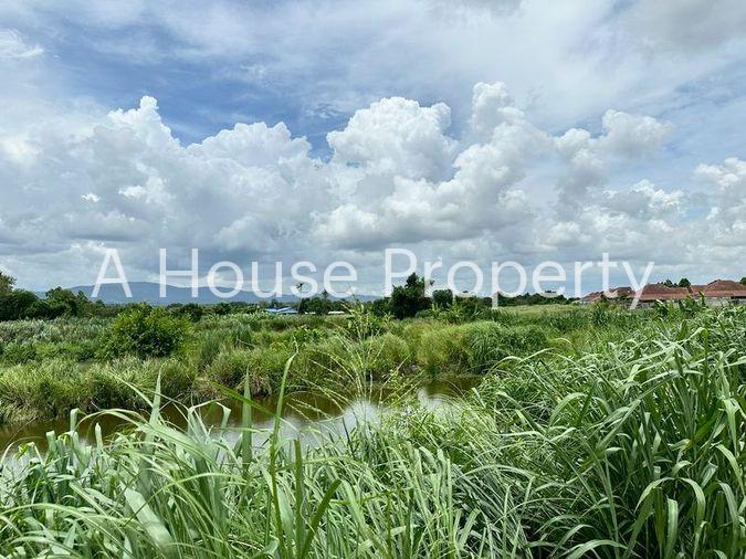 รูป ขายที่ดินเปล่าศรีราชา หนองขาม แปลงสวย ติดกับ ไร่คาราวาน (คอกม้า) - รูปที่ 5/19