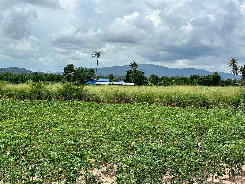 picture Land for sale in Sriracha, Nong Kham, beautiful plot, next to Caravan Farm (horse stable) - 13/19