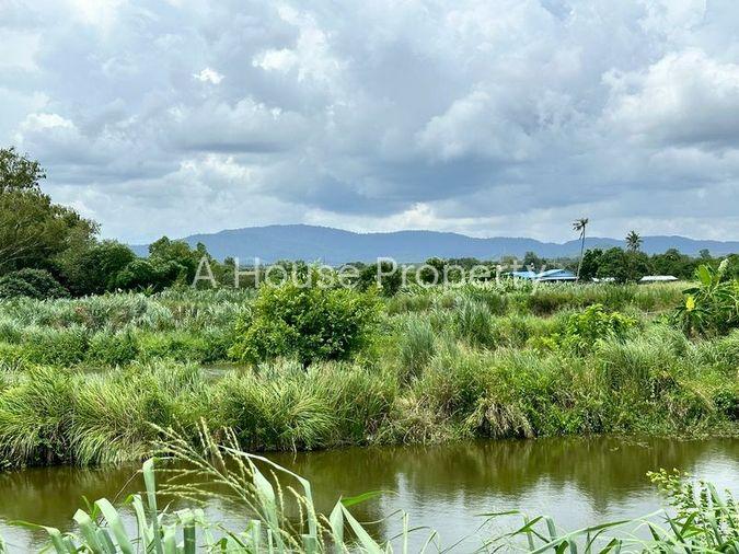 รูป ขายที่ดินเปล่าศรีราชา หนองขาม แปลงสวย ติดกับ ไร่คาราวาน (คอกม้า) - รูปที่ 1/19