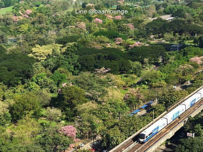 picture THE LINE Jatujak - Mochit 37th floor Size 59 sq.m. - 6/6