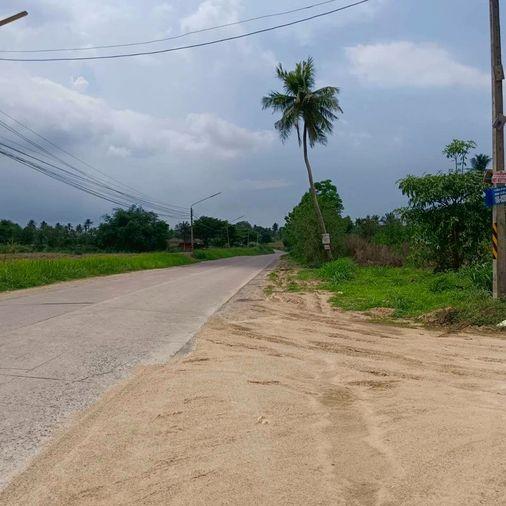 รูป ขายที่ดินศรีราชา บ่อวิน แปลงสวย ทำเลดี ใกล้อีสเทิร์นซีบอร์ด - รูปที่ 5/8