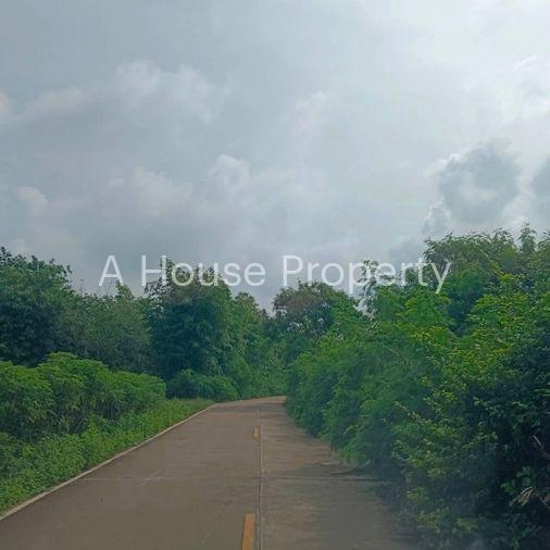 รูป ขายที่ดินศรีราชา เขตเขาคันทรง แปลงสวย ราคาดี - รูปที่ 7/10