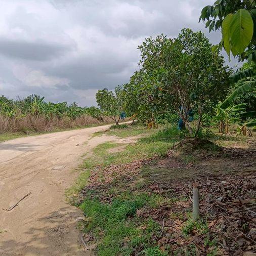 รูป ขายที่ดินศรีราชา บ่อวิน แปลงสวย ทำเลดี ใกล้อีสเทิร์นซีบอร์ด - รูปที่ 2/8
