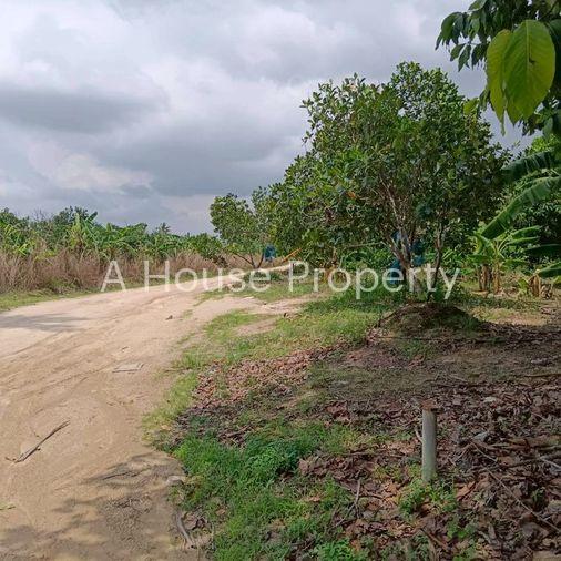 รูป ขายที่ดินศรีราชา บ่อวิน แปลงสวย ทำเลดี ใกล้อีสเทิร์นซีบอร์ด - รูปที่ 2/8