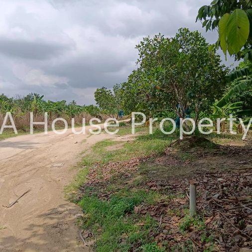 รูป ขายที่ดินศรีราชา บ่อวิน แปลงสวย ทำเลดี ใกล้อีสเทิร์นซีบอร์ด - รูปที่ 2/8