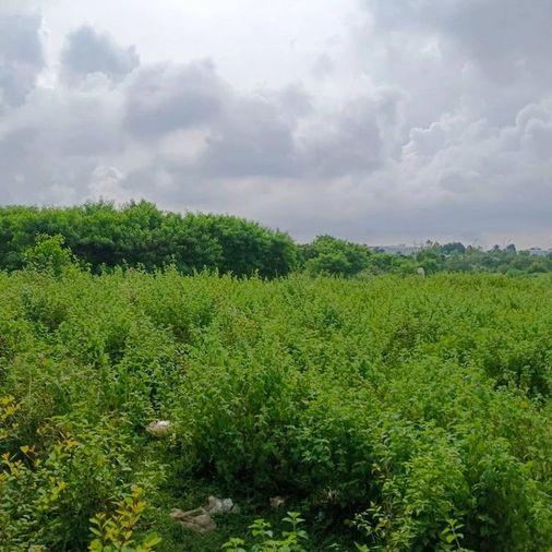 picture Land for sale in Sriracha, Khao Khansong District, beautiful plot, great  price - 1/10