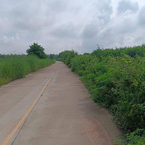 picture Land for sale in Sriracha, Khao Khansong District, beautiful plot, great  price - 8/10