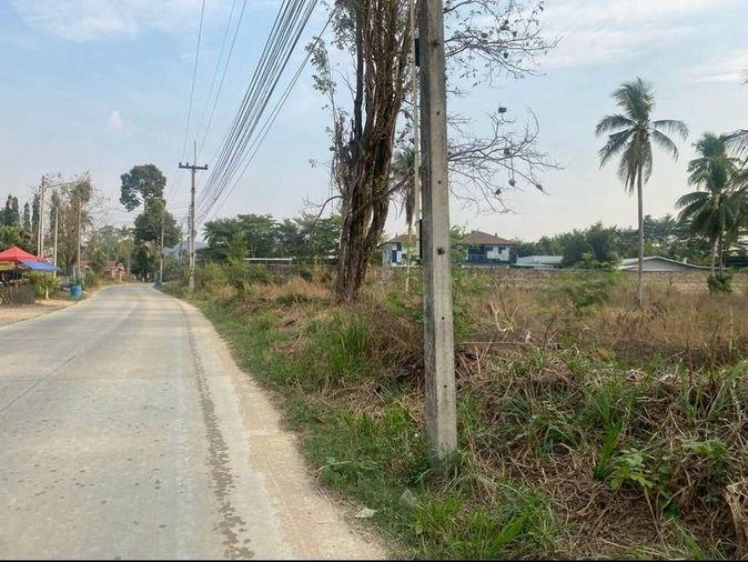 รูป ขายที่ดินแปลงสวย ทำเลดี ติดถนนหลัก ตะเคียนเตี้ย บางละมุง ชลบุรี  - รูปที่ 3/4