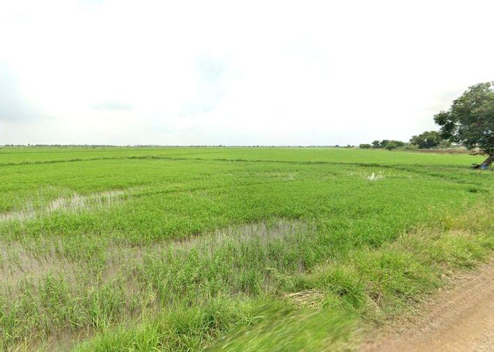 รูป ขายที่ดิน 36-0-60.0 ไร่ ติดถนนทางหลวงหมายเลข 4009 นครนายก - รูปที่ 6/7
