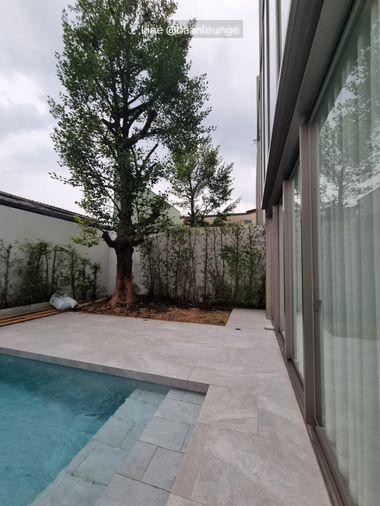 picture House for sale, Rama 9 Soi 41, Suan Luang 3 Storeys Size 52 square wah - 6/64