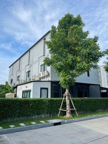 รูป 🏠 ขายบ้าน : Baan Klang Muang Suksawat-Rama 3 (บ้านกลางเมือง สุขสวัสดิ์-พระราม 3)   รหัสทรัพย์ | 📌 LNP-H441   - รูปที่ 1/10
