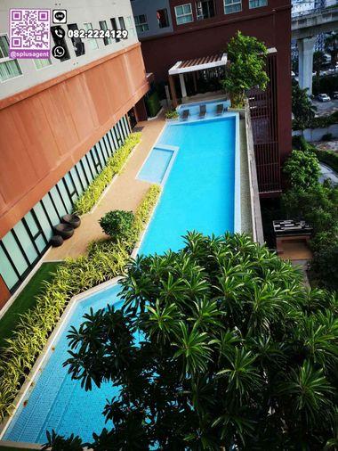 รูป 🌸Hot Price 🌸 ให้เช่า /For Rent*ห้องใหม่ ไม่เคยให้เช่า*พลัม รามคำแหง สเตชั่น (Plum Condo Ramkhamhaeng Station) สนใจทัก💚@SR234 - รูปที่ 28/29