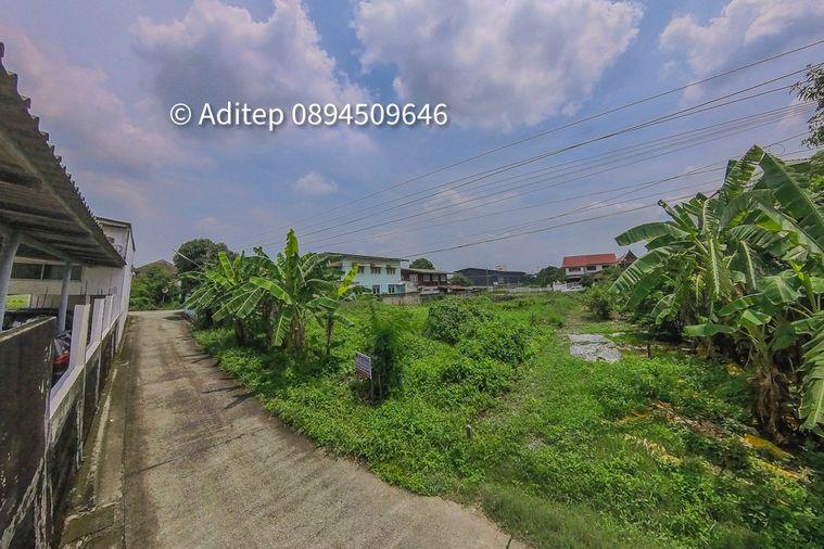 รูป ขายที่ดินเปล่า 47.5 ตร.วา คูคต ลำลูกกา ใกล้ BTS แค่ 4.5 กม. อยู่ในเขตชุมชน ซอยจามร 31/3 ติดถนนคอนกรีต เหมาะปลูกบ้านอยู่อาศัย - รูปที่ 8/13