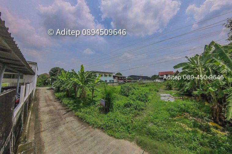 รูป ขายที่ดินเปล่า 47.5 ตร.วา คูคต ลำลูกกา ใกล้ BTS แค่ 4.5 กม. อยู่ในเขตชุมชน ซอยจามร 31/3 ติดถนนคอนกรีต เหมาะปลูกบ้านอยู่อาศัย - รูปที่ 8/13