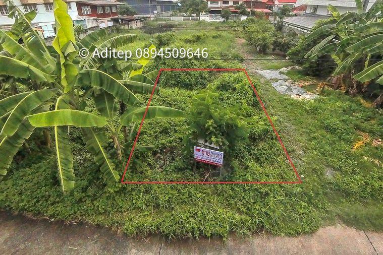 รูป ขายที่ดินเปล่า 47.5 ตร.วา คูคต ลำลูกกา ใกล้ BTS แค่ 4.5 กม. อยู่ในเขตชุมชน ซอยจามร 31/3 ติดถนนคอนกรีต เหมาะปลูกบ้านอยู่อาศัย - รูปที่ 1/13