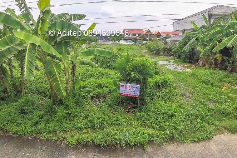 รูป ขายที่ดินเปล่า 47.5 ตร.วา คูคต ลำลูกกา ใกล้ BTS แค่ 4.5 กม. อยู่ในเขตชุมชน ซอยจามร 31/3 ติดถนนคอนกรีต เหมาะปลูกบ้านอยู่อาศัย - รูปที่ 3/13