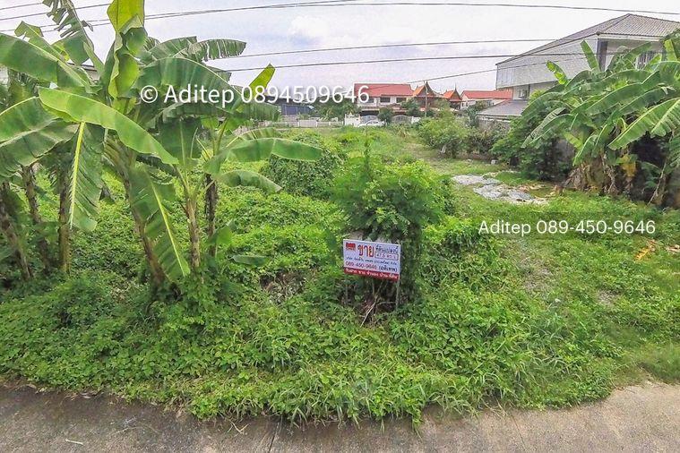 รูป ขายที่ดินเปล่า 47.5 ตร.วา คูคต ลำลูกกา ใกล้ BTS แค่ 4.5 กม. อยู่ในเขตชุมชน ซอยจามร 31/3 ติดถนนคอนกรีต เหมาะปลูกบ้านอยู่อาศัย - รูปที่ 3/13
