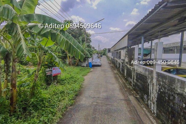 รูป ขายที่ดินเปล่า 47.5 ตร.วา คูคต ลำลูกกา ใกล้ BTS แค่ 4.5 กม. อยู่ในเขตชุมชน ซอยจามร 31/3 ติดถนนคอนกรีต เหมาะปลูกบ้านอยู่อาศัย - รูปที่ 13/13
