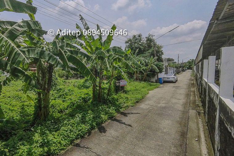รูป ขายที่ดินเปล่า 47.5 ตร.วา คูคต ลำลูกกา ใกล้ BTS แค่ 4.5 กม. อยู่ในเขตชุมชน ซอยจามร 31/3 ติดถนนคอนกรีต เหมาะปลูกบ้านอยู่อาศัย - รูปที่ 6/13