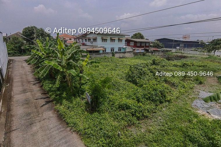 รูป ขายที่ดินเปล่า 47.5 ตร.วา คูคต ลำลูกกา ใกล้ BTS แค่ 4.5 กม. อยู่ในเขตชุมชน ซอยจามร 31/3 ติดถนนคอนกรีต เหมาะปลูกบ้านอยู่อาศัย - รูปที่ 9/13