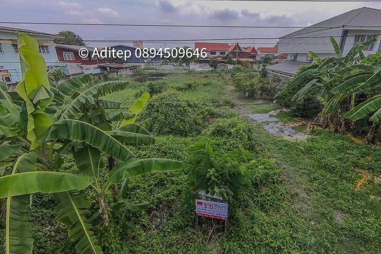 รูป ขายที่ดินเปล่า 47.5 ตร.วา คูคต ลำลูกกา ใกล้ BTS แค่ 4.5 กม. อยู่ในเขตชุมชน ซอยจามร 31/3 ติดถนนคอนกรีต เหมาะปลูกบ้านอยู่อาศัย - รูปที่ 4/13