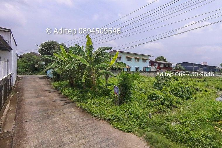 รูป ขายที่ดินเปล่า 47.5 ตร.วา คูคต ลำลูกกา ใกล้ BTS แค่ 4.5 กม. อยู่ในเขตชุมชน ซอยจามร 31/3 ติดถนนคอนกรีต เหมาะปลูกบ้านอยู่อาศัย - รูปที่ 10/13
