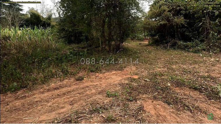 picture Land for Sale 3-0-22 rais  Chiang Rai Phaholyothin road - 7/21