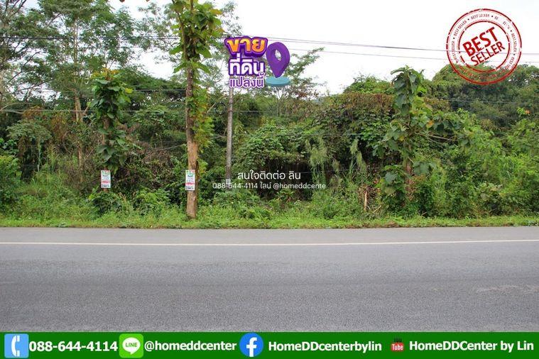 picture Land for Sale 3-0-22 rais Chiang Rai Phaholyothin road - 1/21