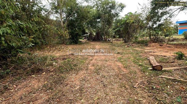 picture Land for Sale 3-0-22 rais Chiang Rai Phaholyothin road - 10/21
