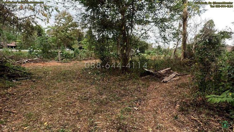 picture Land for Sale 3-0-22 rais  Chiang Rai Phaholyothin road - 12/21