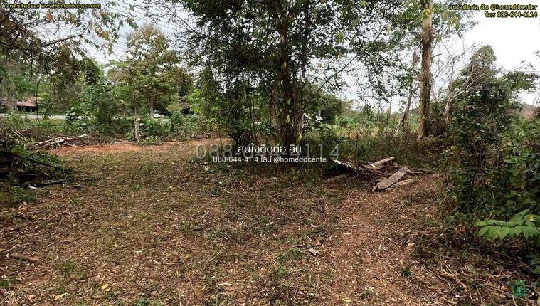 picture Land for Sale 3-0-22 rais Chiang Rai Phaholyothin road - 12/21