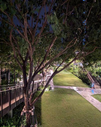 รูป ให้เช่า Life Sathorn Sierra (ไลฟ์ สาทร เซียร์ร่า) Line : @condo24 (มี@ด้วย) - รูปที่ 12/13