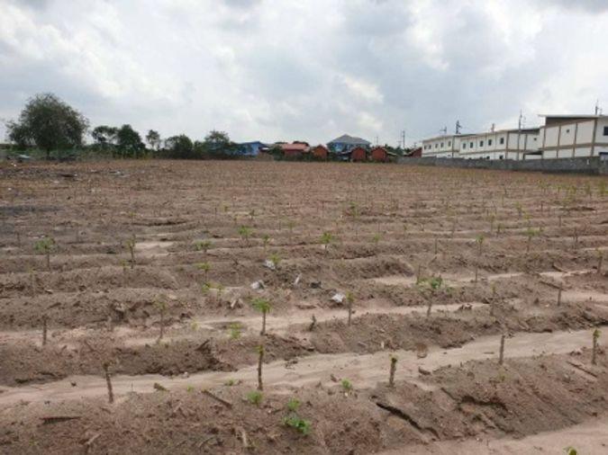 picture Beautiful land plot for sale, great  location, Huai Saphan Reservoir Zone, Bo Win, Sriracha - 6/8