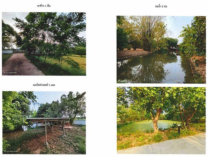 รูป Call : 098-656-4982 เจ้าของขายเอง ที่ดินสิ่งปลูกสร้าง บ้านพัก 2 หลัง โกดัง นาข้าว บ่อน้ำ พื้นที่เกือบ 5 ไร่ เมืองขอนเแก่น ใกล้ตัวเมืองขอนแก่น - รูปที่ 9/14