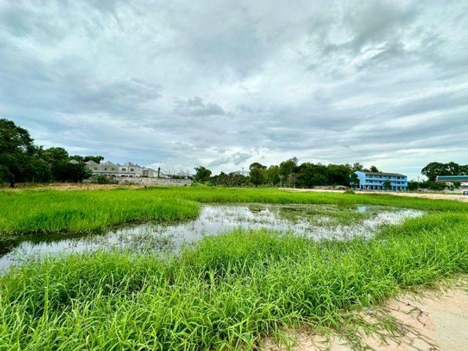 รูป ขายที่ดินหนองขาม ศรีราชา แปลงสวย ติดกับโครงการ มบ.เดอะ ซิมโฟนี  - รูปที่ 11/11