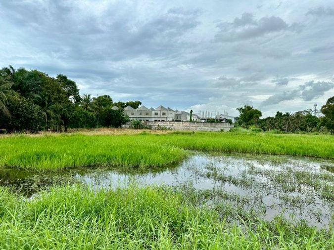 รูป ขายที่ดินหนองขาม ศรีราชา แปลงสวย ติดกับโครงการ มบ.เดอะ ซิมโฟนี - รูปที่ 10/11