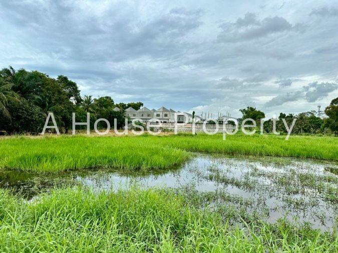 รูป ขายที่ดินหนองขาม ศรีราชา แปลงสวย ติดกับโครงการ มบ.เดอะ ซิมโฟนี - รูปที่ 10/11