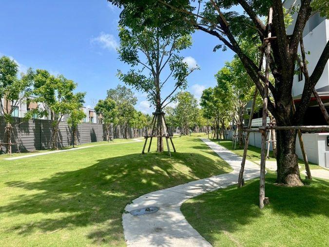 รูป ให้เช่าบ้านหรู บ้านกลางกลางเมือง The Edition บางนา  วิวทะเลสาบ  (Rt-01) - รูปที่ 24/26