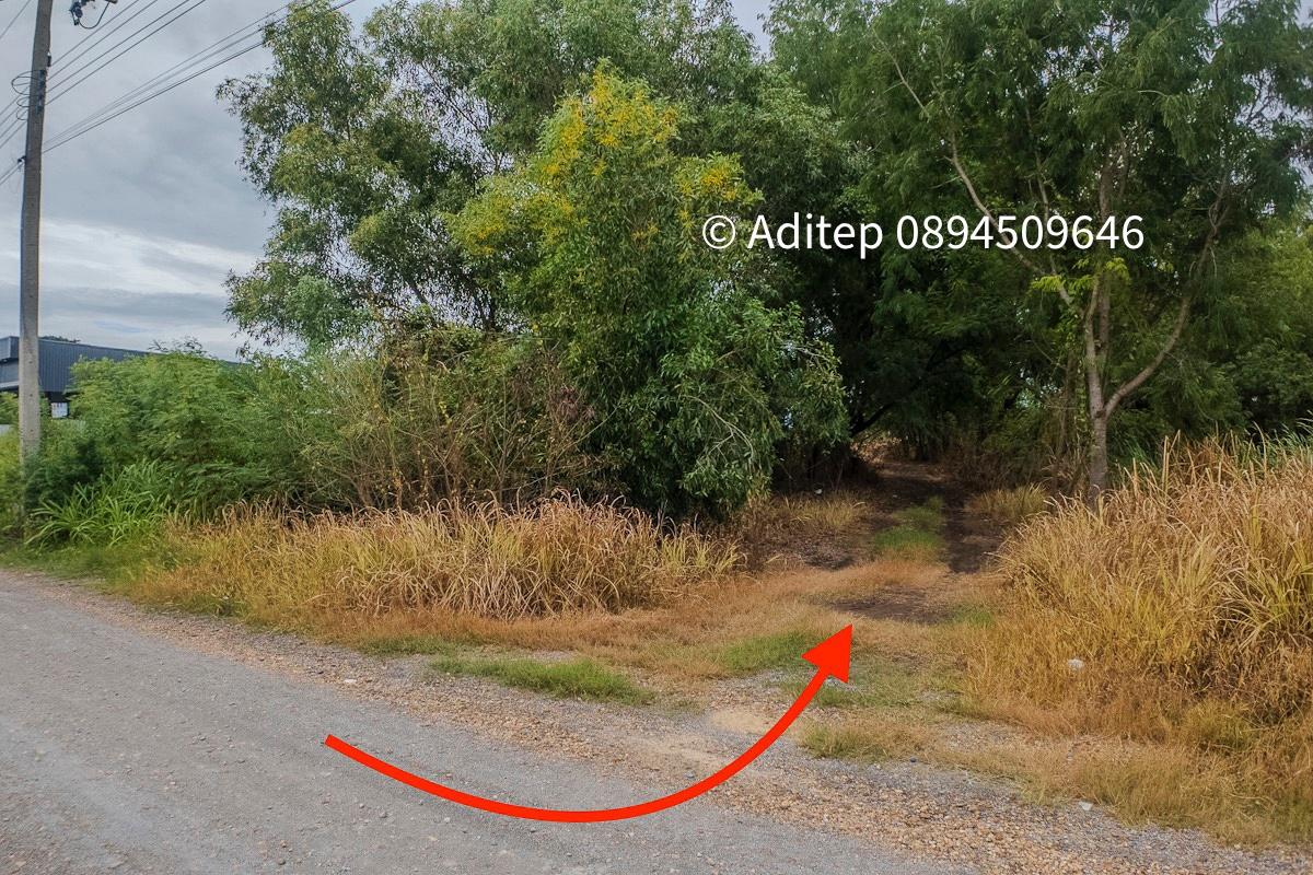 รูป ขายด่วน! ที่ดินเปล่า 317 ตร.ว. คลองโยง-พุทธมณฑล ราคาดีใกล้เคียงราคาประเมิน ใกล้มหิดล ศาลายา เดินทางเข้ากรุงเทพาะดวก! - รูปที่ 13/17
