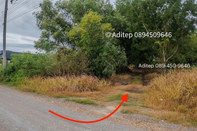 รูป ขายด่วน! ที่ดินเปล่า 317 ตร.ว. คลองโยง-พุทธมณฑล ราคาดีใกล้เคียงราคาประเมิน ใกล้มหิดล ศาลายา เดินทางเข้ากรุงเทพาะดวก! - รูปที่ 13/17