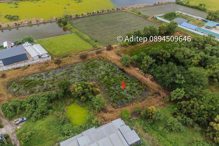 รูป ขายด่วน! ที่ดินเปล่า 317 ตร.ว. คลองโยง-พุทธมณฑล ราคาดีใกล้เคียงราคาประเมิน ใกล้มหิดล ศาลายา เดินทางเข้ากรุงเทพาะดวก! - รูปที่ 6/17
