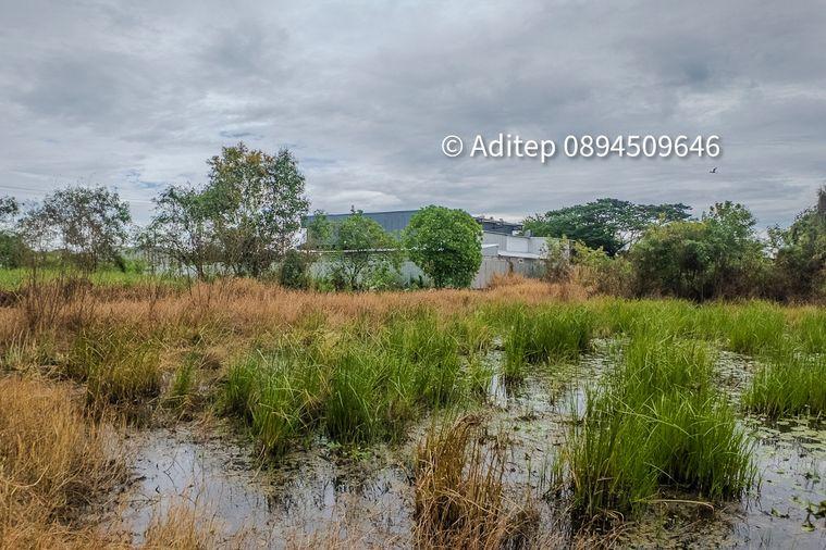 รูป ขายด่วน! ที่ดินเปล่า 317 ตร.ว. คลองโยง-พุทธมณฑล ราคาดีใกล้เคียงราคาประเมิน ใกล้มหิดล ศาลายา เดินทางเข้ากรุงเทพาะดวก! - รูปที่ 16/17