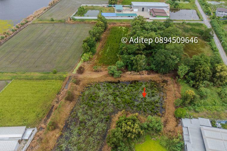 รูป ขายด่วน! ที่ดินเปล่า 317 ตร.ว. คลองโยง-พุทธมณฑล ราคาดีใกล้เคียงราคาประเมิน ใกล้มหิดล ศาลายา เดินทางเข้ากรุงเทพาะดวก! - รูปที่ 5/17
