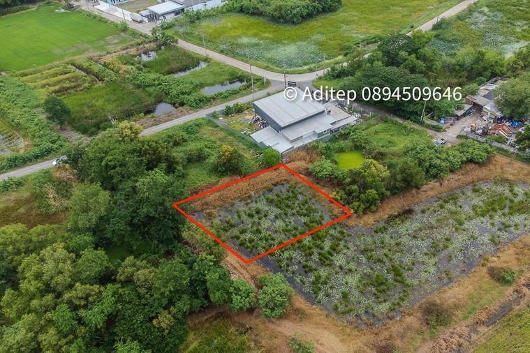 รูป ขายด่วน! ที่ดินเปล่า 317 ตร.ว. คลองโยง-พุทธมณฑล ราคาดีใกล้เคียงราคาประเมิน ใกล้มหิดล ศาลายา เดินทางเข้ากรุงเทพาะดวก! - รูปที่ 3/17