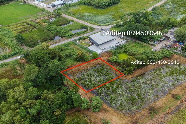 รูป ขายด่วน! ที่ดินเปล่า 317 ตร.ว. คลองโยง-พุทธมณฑล ราคาดีใกล้เคียงราคาประเมิน ใกล้มหิดล ศาลายา เดินทางเข้ากรุงเทพาะดวก! - รูปที่ 3/17
