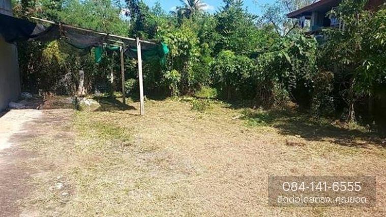 รูป ขายบ้านเดี่ยวชั้นเดียว มีโกดัง ทำเลติดถนนใหญ่ ห่างตัวเมืองเพชรบูรณ์ 2.5 กม. หมู่บ้าน บ้านไร่ ต.สะเดียง อ.เพชรบูรณ์ 67000 - รูปที่ 5/10