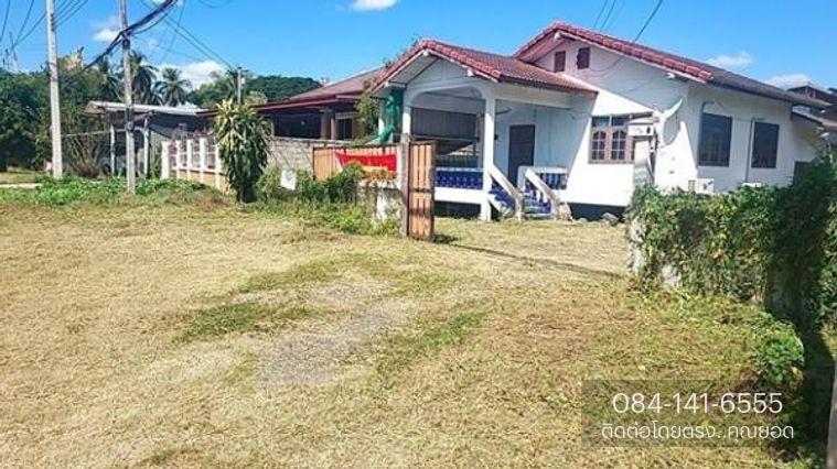 รูป ขายบ้านเดี่ยวชั้นเดียว มีโกดัง ทำเลติดถนนใหญ่ ห่างตัวเมืองเพชรบูรณ์ 2.5 กม. หมู่บ้าน บ้านไร่ ต.สะเดียง อ.เพชรบูรณ์ 67000 - รูปที่ 1/10