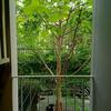 listing thumbnail image 19