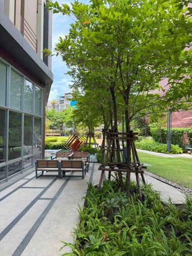 รูป Lumpini Place Ratchada - Sathu (ลุมพินี เพลส รัชดา - สาธุ )    ชั้น 11-20​ ขนาด 28.46 ตารางเมตร 1 ห้องนอน 1 ห้องน้ำ - รูปที่ 14/15